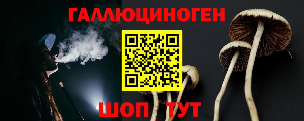 Галлюциногенные грибы прущие грибы Дербент